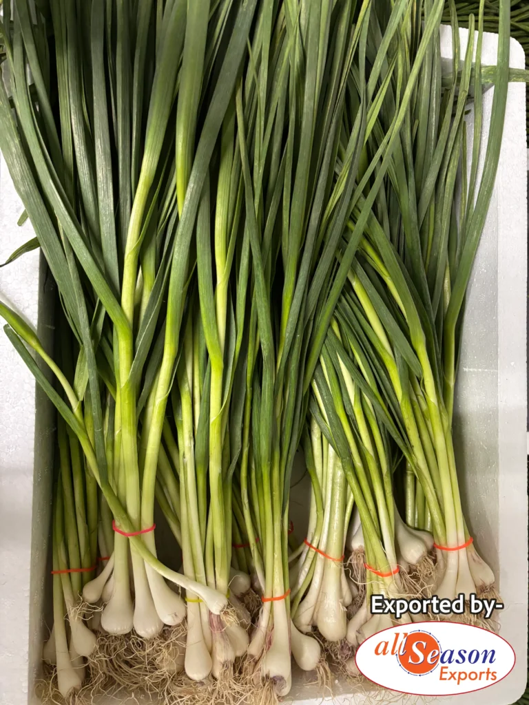 20D3E9BC-D949-4CDE-A3E0-813E8857B6AE-2