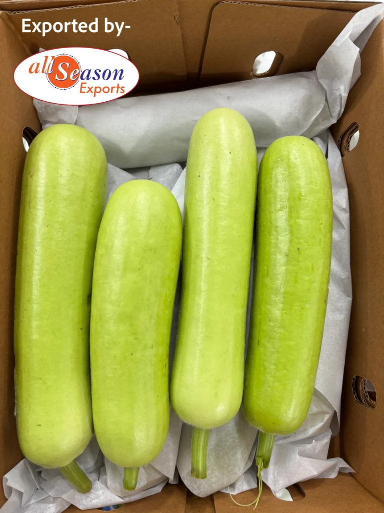 91F1338E-AE65-4169-AE5E-7158545BB202