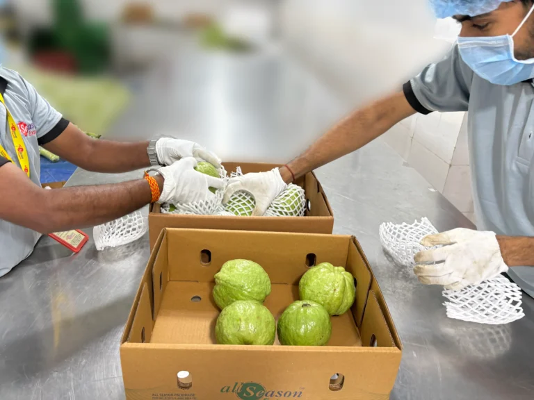 A98C2731-F65F-487F-AFCE-BFA948BC7283