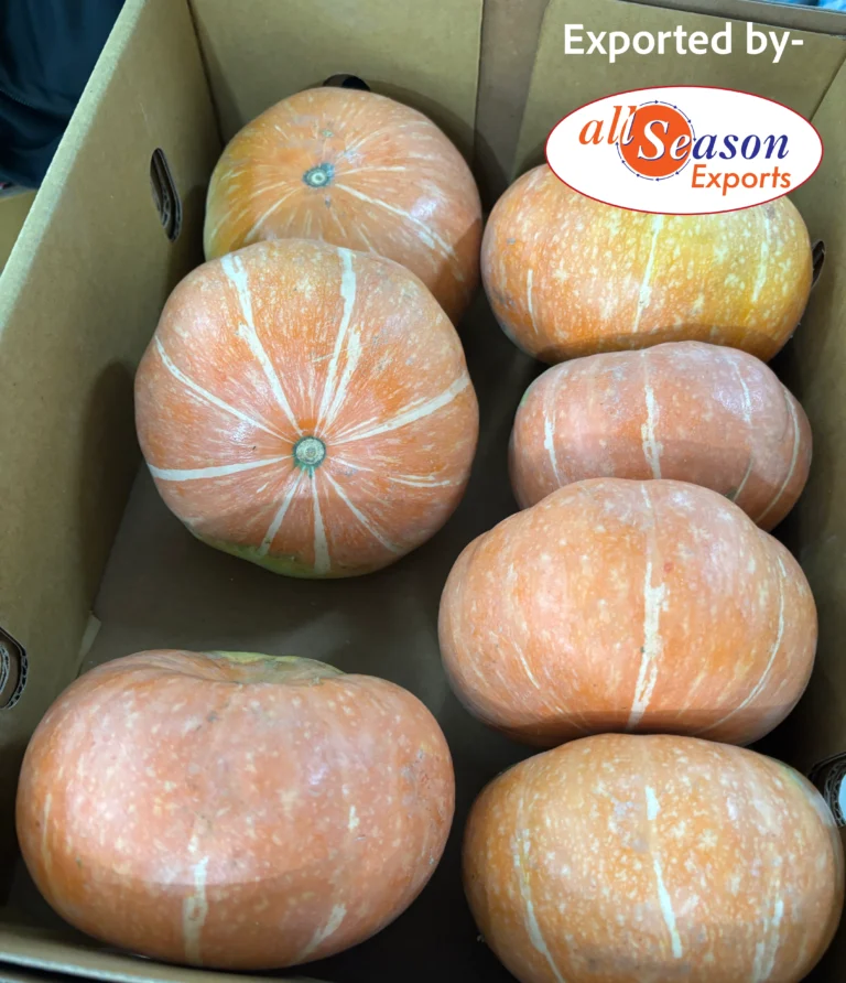 BD4E881C-FB70-420B-A9E6-B166F27991B4