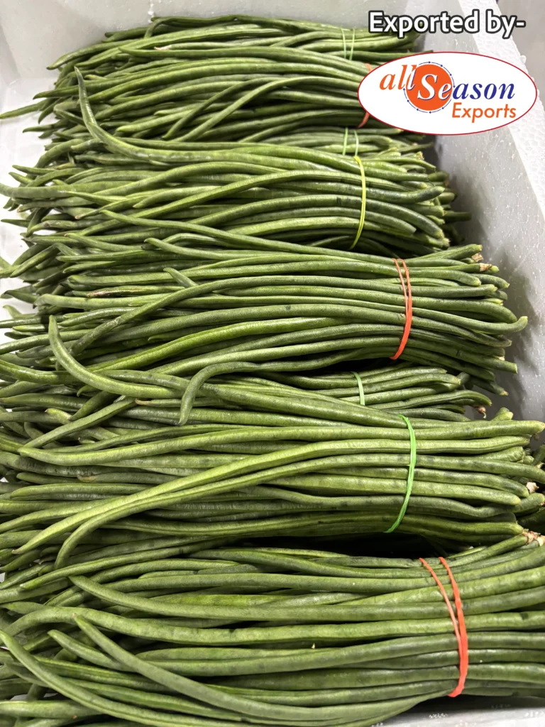 ECCAC35A-D972-4E27-B229-8F939BD4DB30