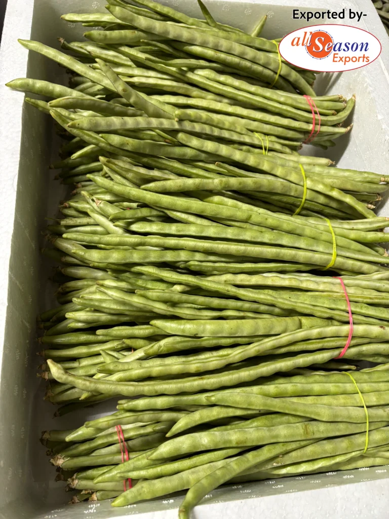 EF980A65-D29B-4A92-883A-1F89B260DC1D