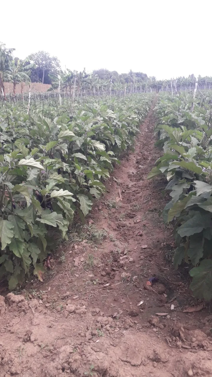 WhatsApp Image 2025-03-14 at 17.42