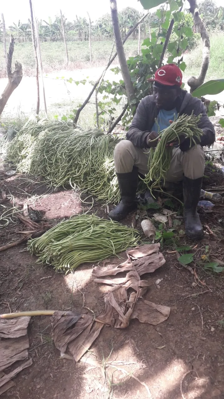 WhatsApp Image 2025-03-14 at 17.47