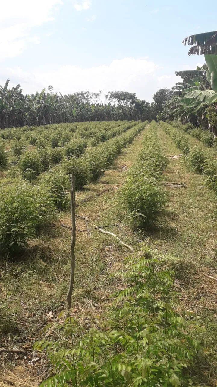 WhatsApp Image 2025-03-14 at 17.48