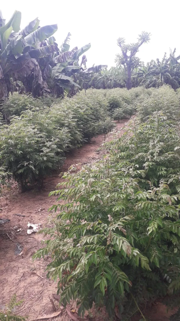 WhatsApp Image 2025-03-14 at 17.51