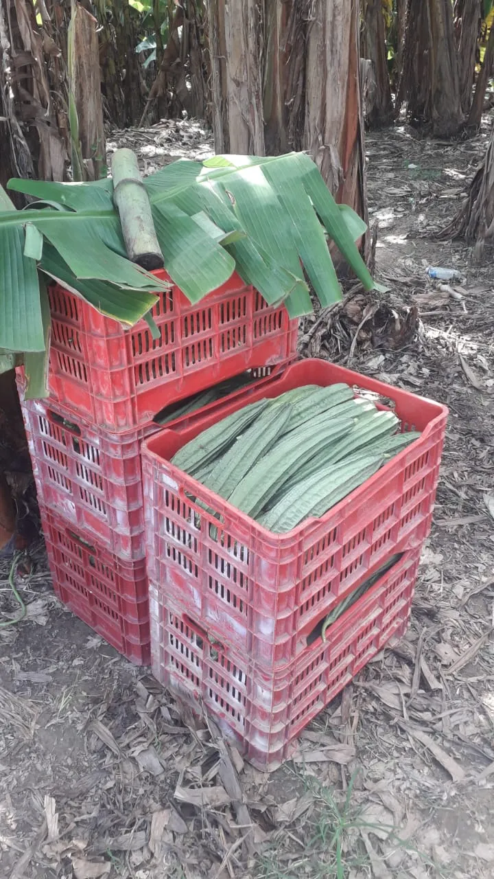 WhatsApp Image 2025-03-14 at 17.52