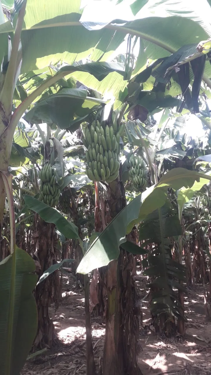 WhatsApp Image 2025-03-14 at 17.57