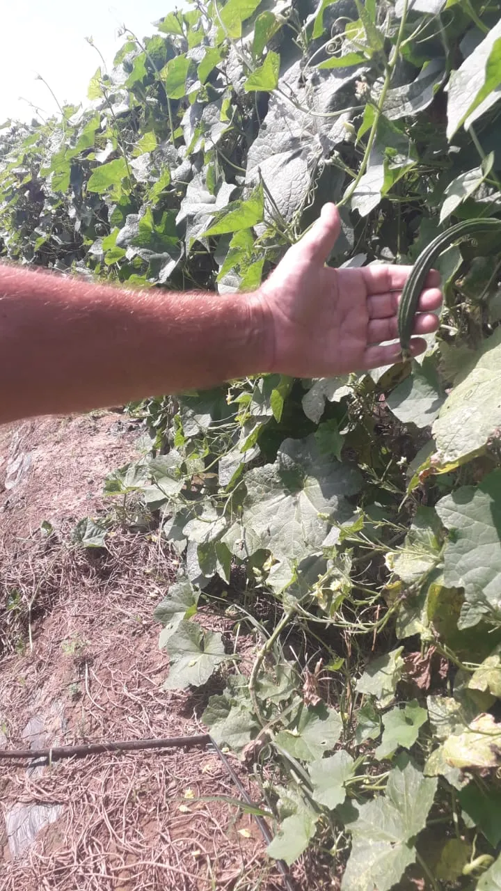 WhatsApp Image 2025-03-14 at 17.58