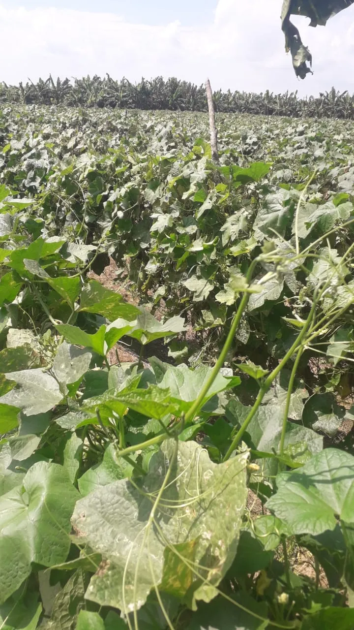 WhatsApp Image 2025-03-14 at 17.59