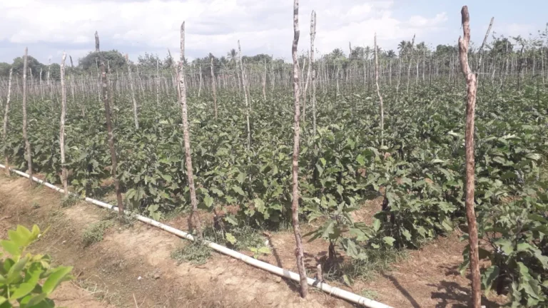 WhatsApp Image 2025-03-14 at 18.09