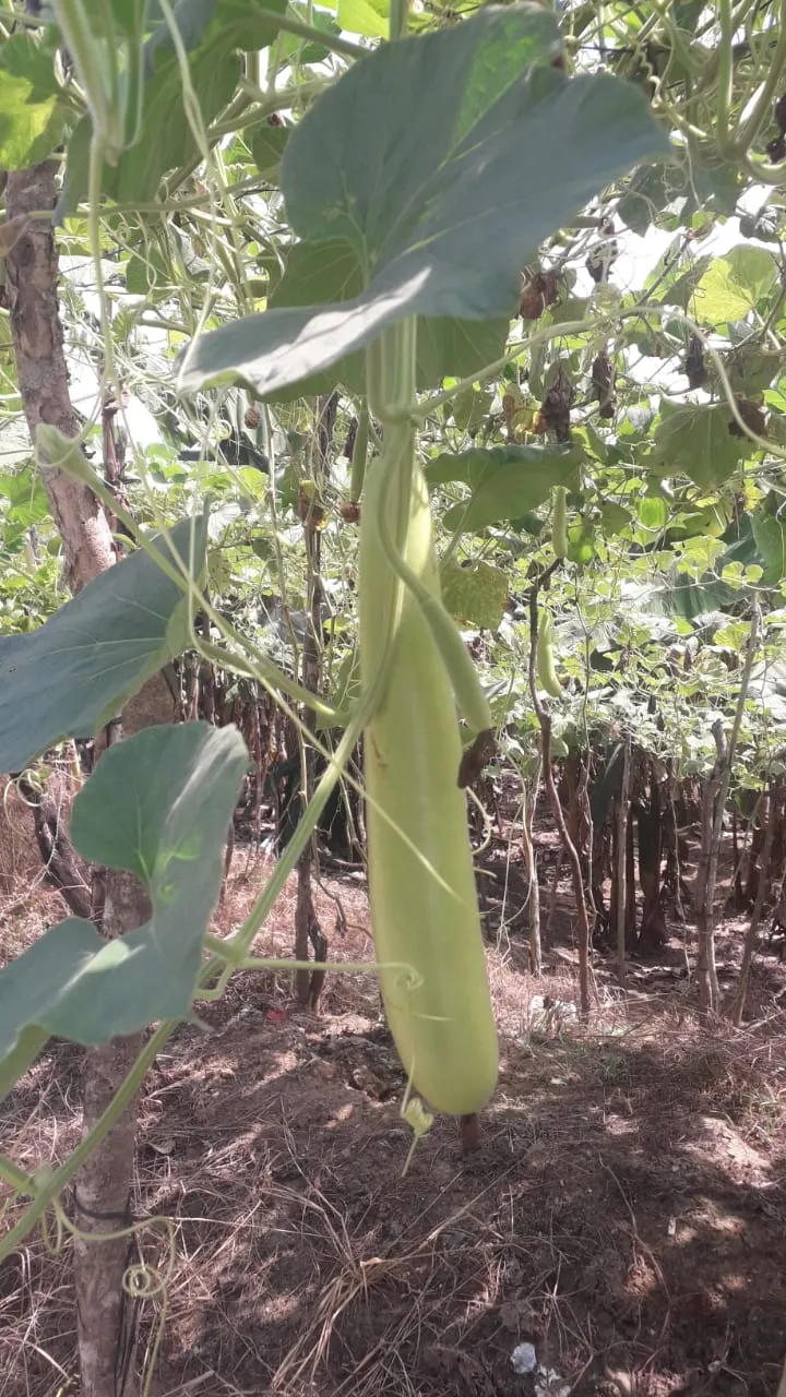 WhatsApp Image 2025-03-14 at 18.12