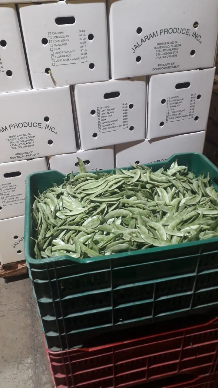 WhatsApp Image 2025-03-14 at 20.55