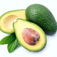 AVACADO